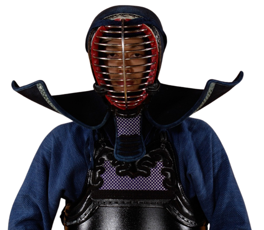 Kenshi practicante de Kendo